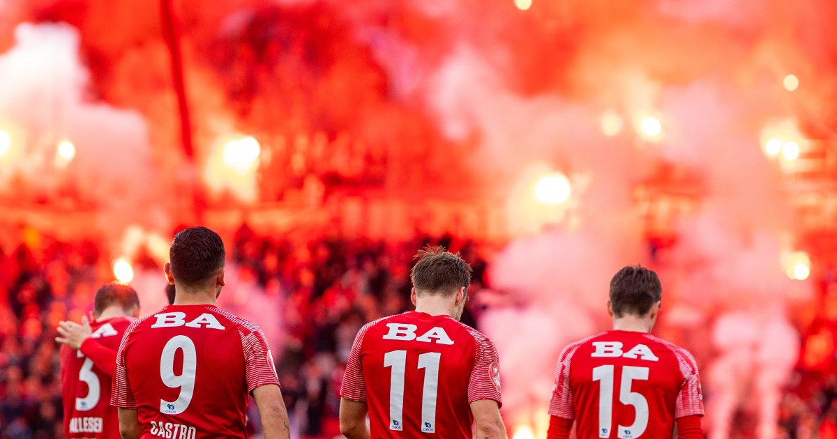 Partner / Brann